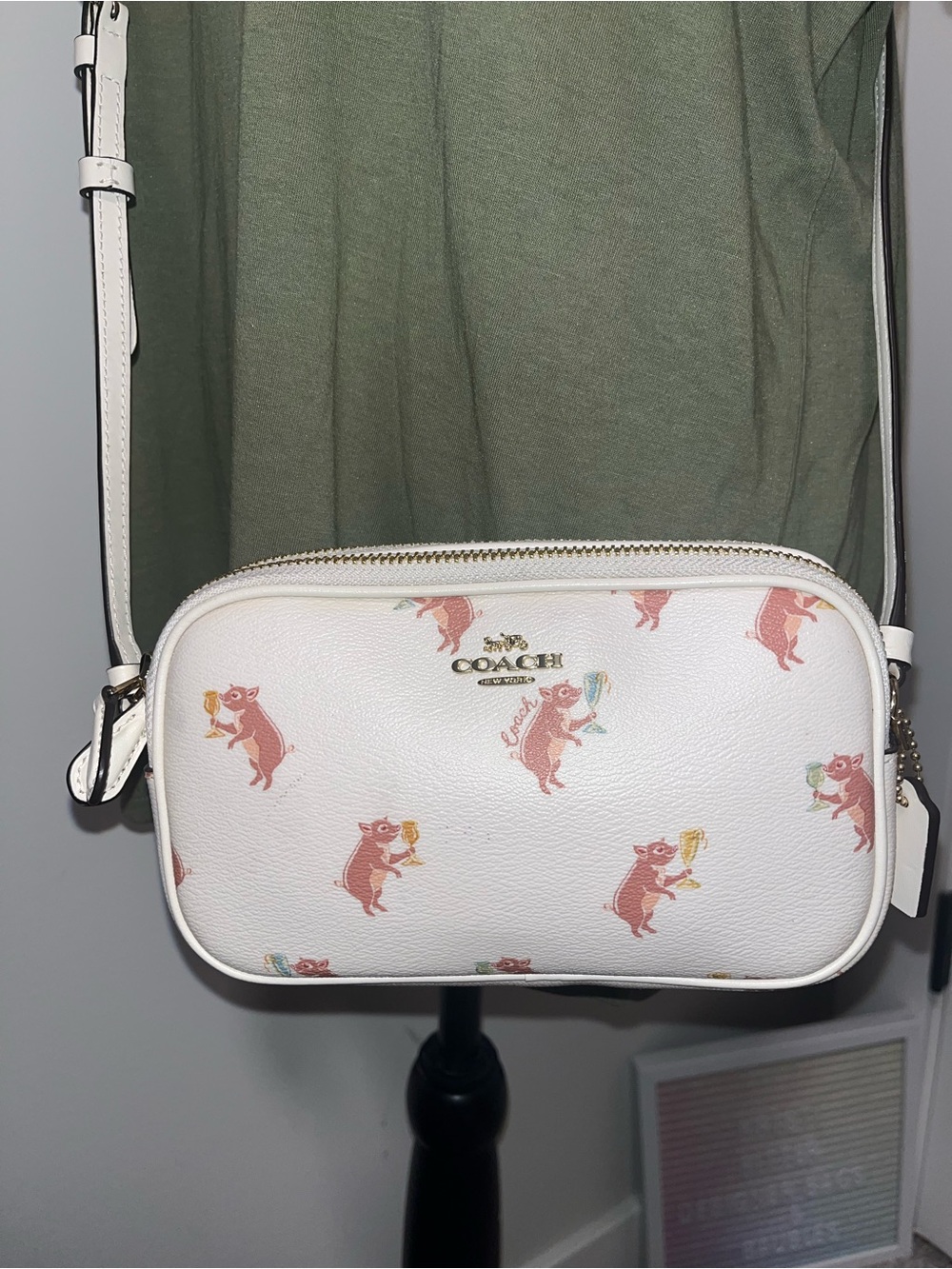 Coach Party Pig Double Zip Crossbody